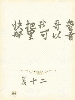 快把我哥带走在哪里可以看