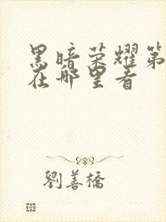 黑暗荣耀第一季在哪里看