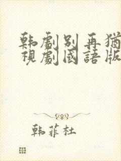 韩剧别再犹豫电视剧国语版免费观看封面