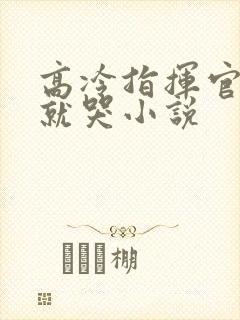 高冷指挥官一亲就哭小说封面