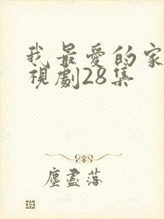我最爱的家人电视剧28集
