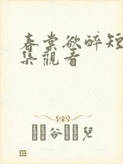 春棠欲醉短剧全集观看