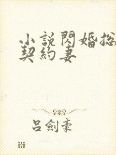 小说闪婚总裁的契约妻封面