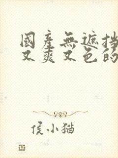 国产无遮挡又黄又爽又色的视频