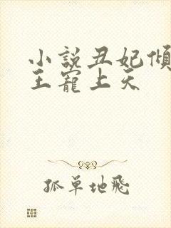 小说丑妃倾城夜王宠上天