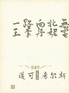一路向北无删减王李丹妮电影在_线
