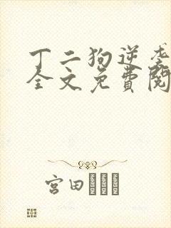 丁二狗逆袭人生全文免费阅读