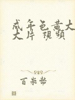 成年色黄大色黄大片 视频