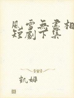 风雪无尽相思情短剧下集封面