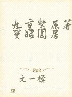 九重紫原著宋墨窦昭圆房
