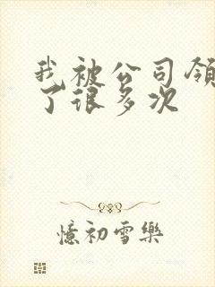 我被公司领导C了很多次