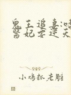 鬼王追妻:嗜血医妃要逆天