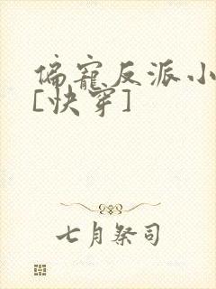 偏宠反派小可怜[快穿]