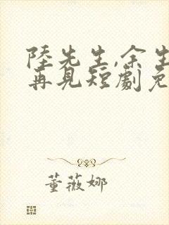 陆先生,余生不再见短剧免费观看