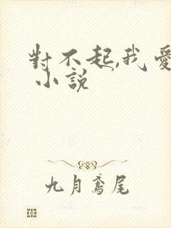 对不起,我爱你 小说