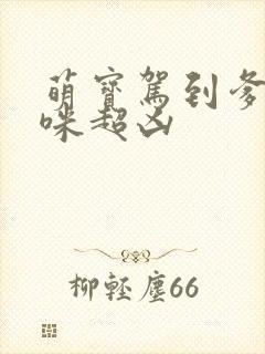 萌宝驾到爹地妈咪超凶