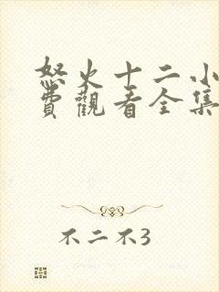 怒火十二小时免费观看全集完整版