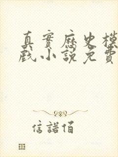 真实历史模拟游戏小说免费阅读