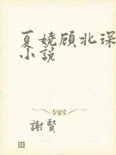 夏娆顾北琛许蕊小说