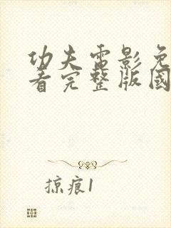 功夫电影免费观看完整版国语高清