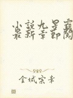 小说九星霸体诀最新章节阅读