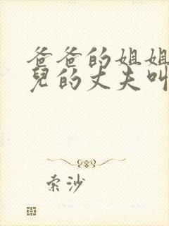 爸爸的姐姐的女儿的丈夫叫什么封面