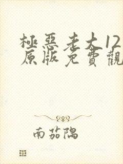 极恶老大12集原版免费观看