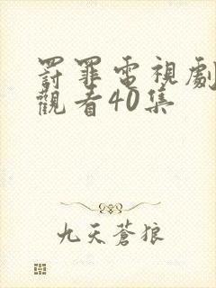 罚罪电视剧免费观看40集