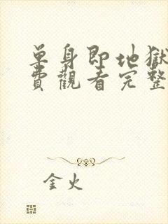 单身即地狱4免费观看完整版封面