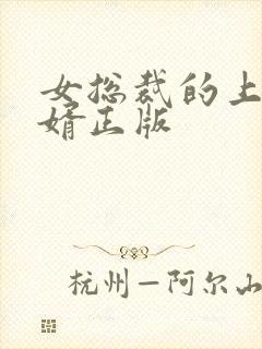 女总裁的上门女婿正版