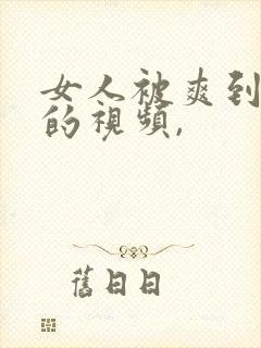 女人被爽到呻吟的视频,