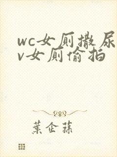 wc女厕撒尿tv女厕偷拍