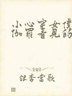 小心穿女仆装被伽罗看见的小说叫什