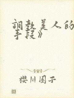 调教美人的百种手段》