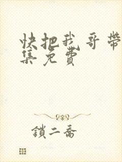 快把我哥带走全集免费