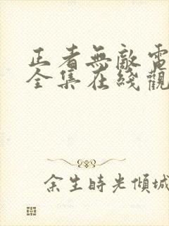 正者无敌电视剧全集在线观看