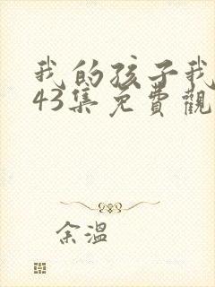 我的孩子我的家43集免费观看