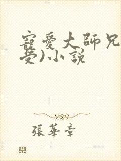 宠爱大师兄(总受)小说