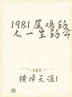 1981属鸡的人一生的命运是怎么样的
