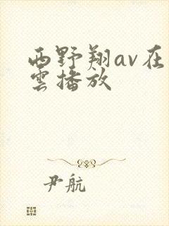 西野翔av在线云播放