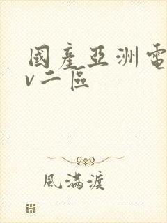 国产亚洲电影av二区