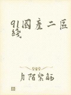 91国产二区在线