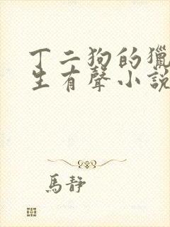 丁二狗的猎艳人生有声小说