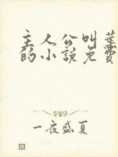 主人公叫叶北辰的小说免费阅读全文