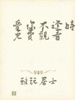 爱你不逢时短剧免费观看封面