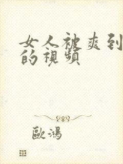 女人被爽到呻吟的视频封面