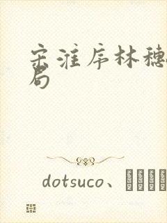 宋淮序林穗大结局