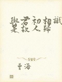 与君初相识 似是故人归封面