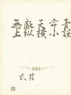 无敌天命青鸾峰上纵横小说网封面