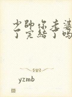 少帅你老婆又跑了完结了吗